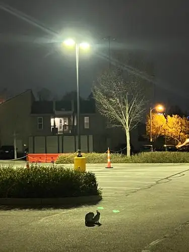 Late-night parking lot vibes under the glow.